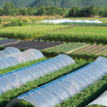 Farm and Garden